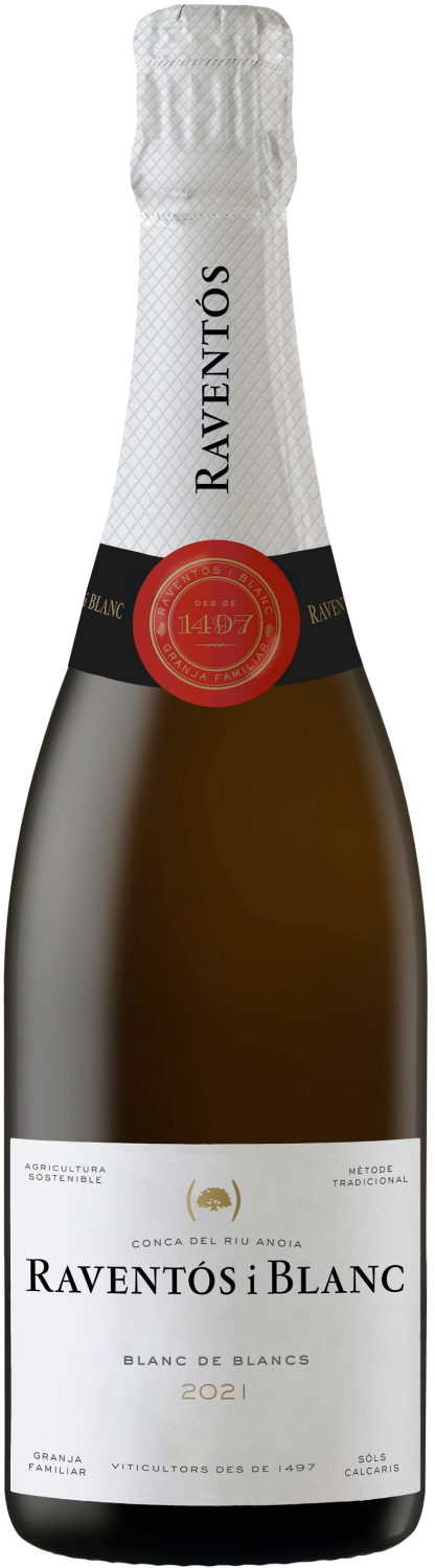 Raventos I Blanc Blanc De Blancs Brut Conca Del Riu Anoia, 0.75 л в Сочи
