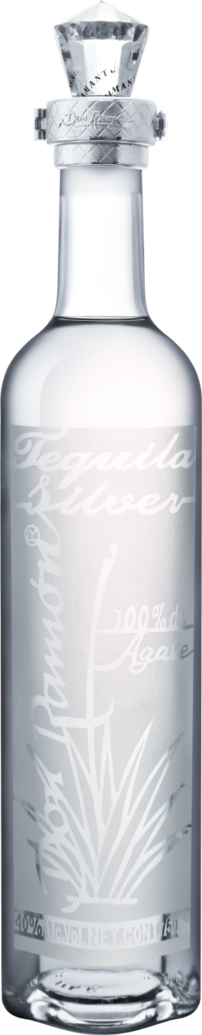 Дон Рамон Сильвер - 0.75 л